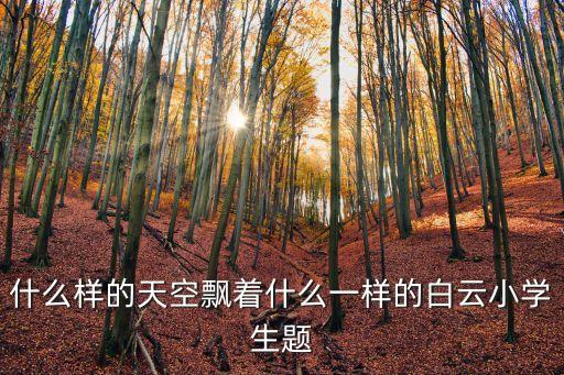 什么样的天空飘着什么一样的白云小学生题