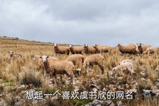 虞书欣素材自取，正在搜索素材