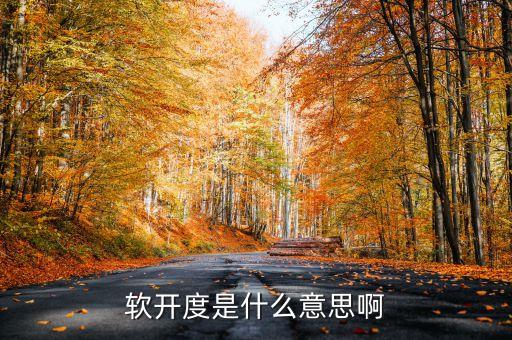 软开度是什么意思啊
