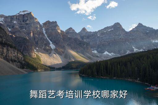 舞蹈艺考培训学校哪家好