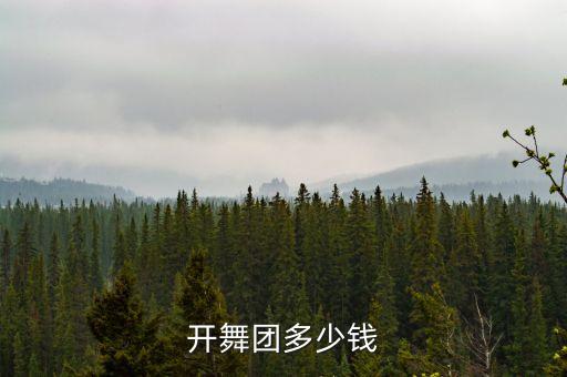 排集体舞蹈多少钱，建舞团大约多少钱额