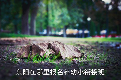 东阳在哪里报名补幼小衔接班
