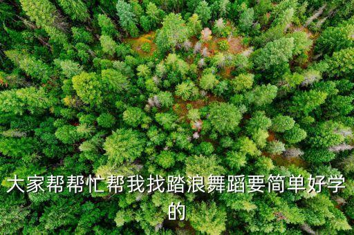 舞蹈踏浪教学视频，大家帮帮忙帮我找踏浪舞蹈要简单好学的
