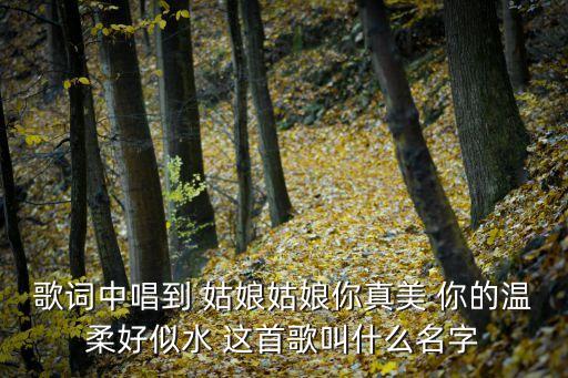歌词中唱到 姑娘姑娘你真美 你的温柔好似水 这首歌叫什么名字