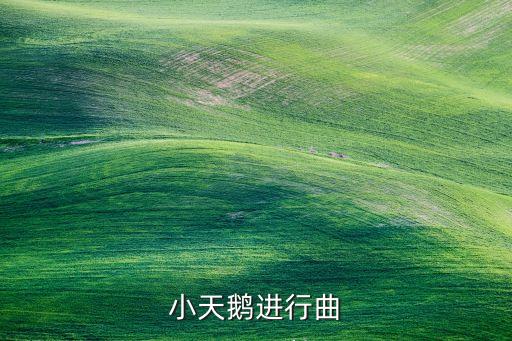 小天鹅进行曲