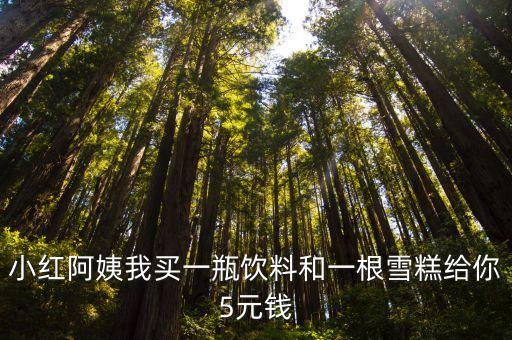 小红阿姨我买一瓶饮料和一根雪糕给你5元钱