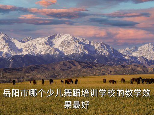 岳阳市哪个少儿舞蹈培训学校的教学效果最好