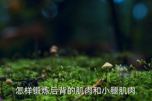 怎么锻炼背部舞蹈视频教学视频教学视频，如何瘦背视频