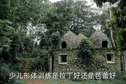少儿舞 拉丁舞 芭蕾舞 哪个好，少儿形体训练是拉丁好还是芭蕾好