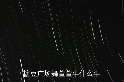 你牛什么牛 广场舞，广场舞你牛甚么牛mp3