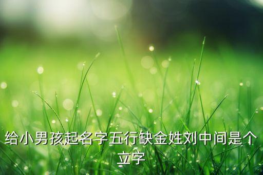 给小男孩起名字五行缺金姓刘中间是个立字