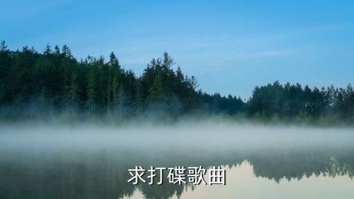 求打碟歌曲