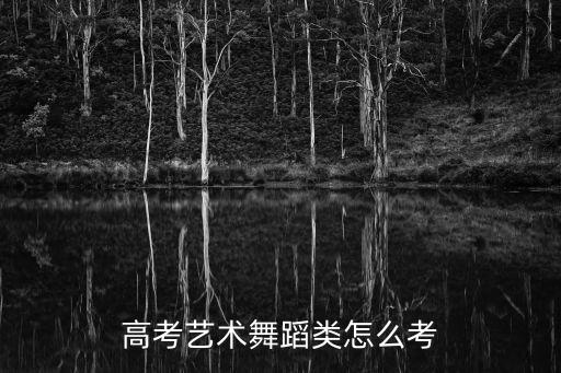 高考艺术舞蹈类怎么考