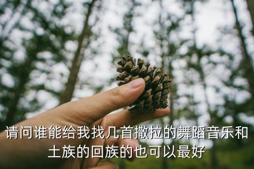 请问谁能给我找几首撒拉的舞蹈音乐和土族的回族的也可以最好