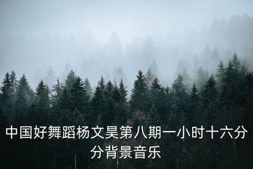 中国好舞蹈杨文昊第八期一小时十六分分背景音乐