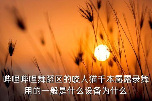 哔哩哔哩广告视频跳舞的小姐姐，B站里一个跳舞的视频