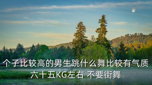 个子比较高的男生跳什么舞比较有气质六十五KG左右 不要街舞