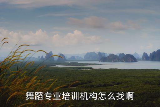 舞蹈专业培训机构怎么找啊