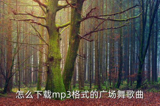 还要等多久广场舞mp3下载，哪里可以下载广场舞MP3歌曲啊要好点的麻麻要听