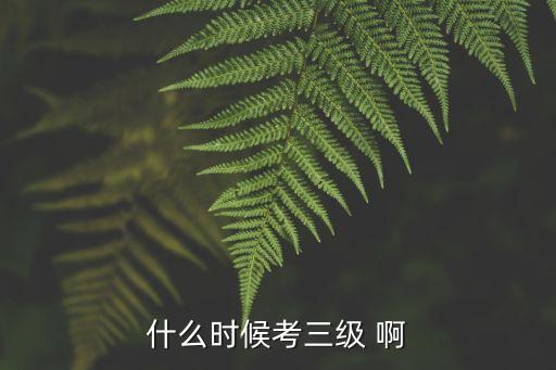 什么时候考三级 啊