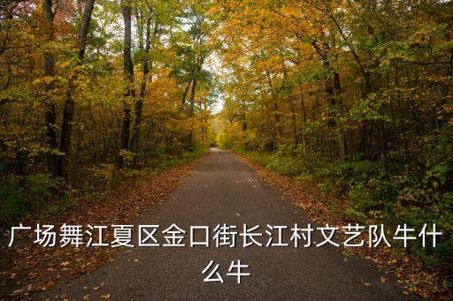 广场舞江夏区金口街长江村文艺队牛什么牛