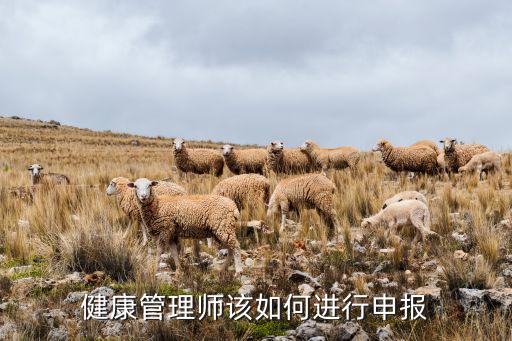 健康管理师该如何进行申报