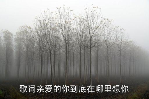 歌词亲爱的你到底在哪里想你
