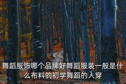 舞蹈服饰哪个品牌好舞蹈服装一般是什么布料的初学舞蹈的人穿