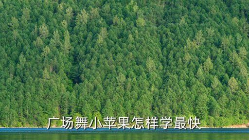 广场舞小苹果怎样学最快