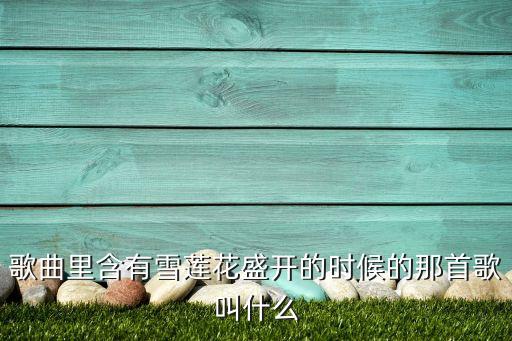 雪莲花盛开的时候是什么歌名，歌曲里含有雪莲花盛开的时候的那首歌叫什么