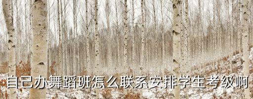 办舞蹈考级班怎么办，怎么办舞蹈班