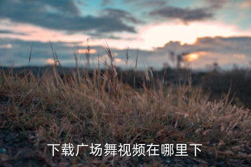 我怎么下载广场舞，怎样下载广场舞