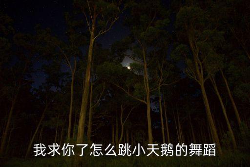我求你了怎么跳小天鹅的舞蹈