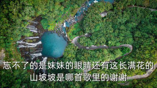 忘不了的是妹妹的眼睛还有这长满花的山坡坡是哪首歌里的谢谢