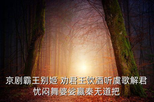 京剧霸王别姬 劝君王饮酒听虞歌解君忧闷舞婆娑嬴秦无道把