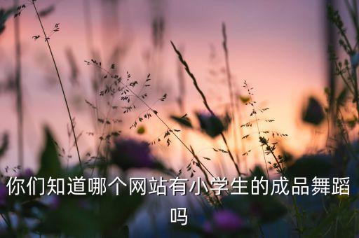 你们知道哪个网站有小学生的成品舞蹈吗