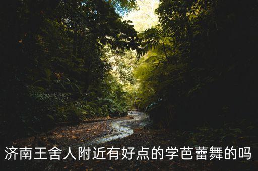 济南少儿芭蕾哪里好，济南王舍人附近有好点的学芭蕾舞的吗
