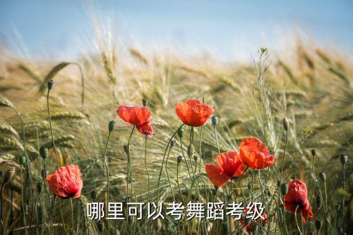 哪里可以考舞蹈考级