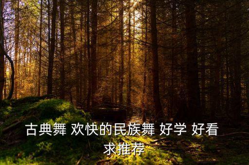古典舞 欢快的民族舞 好学 好看 求推荐