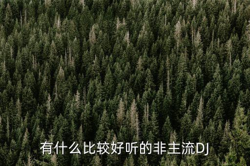 有什么比较好听的非主流DJ