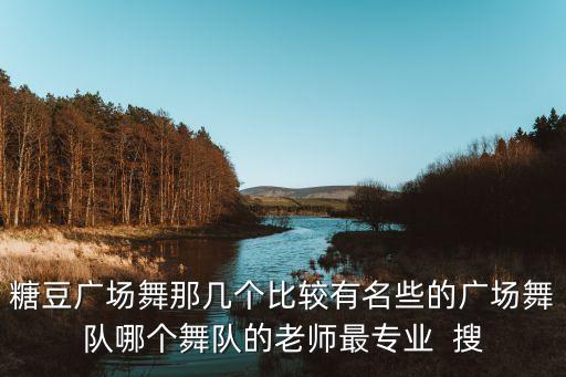 糖豆广场舞那几个比较有名些的广场舞队哪个舞队的老师最专业  搜