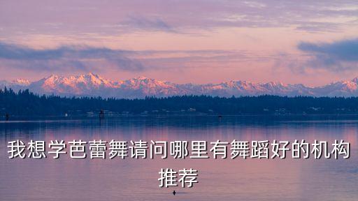 我想学芭蕾舞请问哪里有舞蹈好的机构推荐