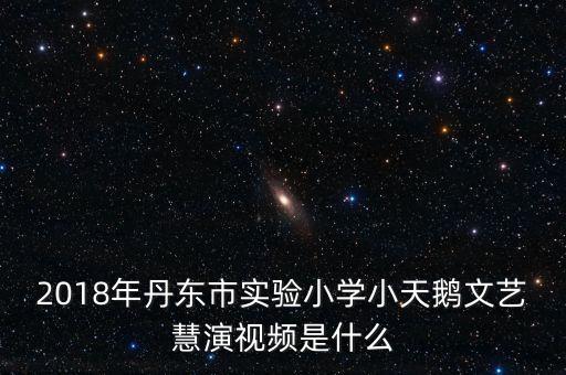 舞蹈小天鹅的视频教程，中国舞蹈协会8级四小天鹅是踮脚的吗