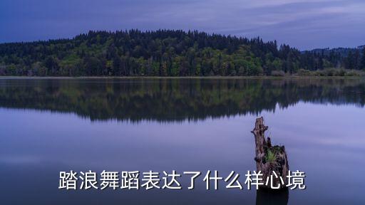 踏浪舞蹈表达了什么样心境