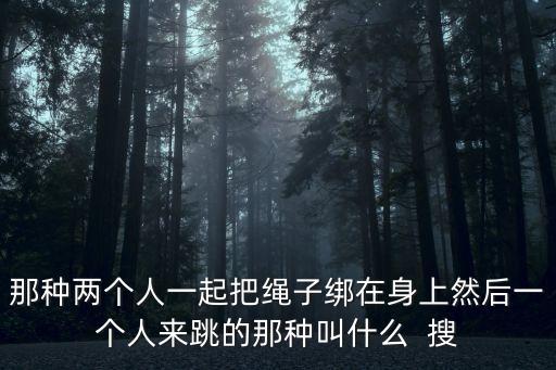 那种两个人一起把绳子绑在身上然后一个人来跳的那种叫什么  搜
