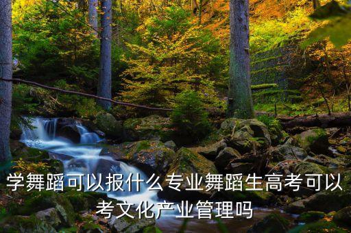 学舞蹈可以报什么专业舞蹈生高考可以考文化产业管理吗