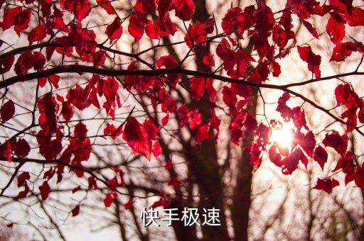 快手极速