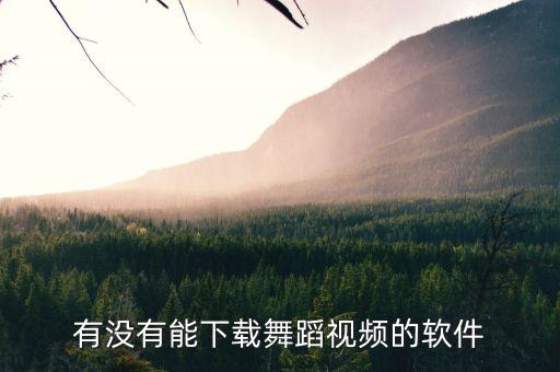 有没有能下载舞蹈视频的软件