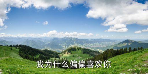 我为什么偏偏喜欢你