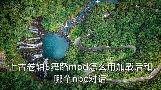 上古卷轴5舞蹈mod怎么用加载后和哪个npc对话